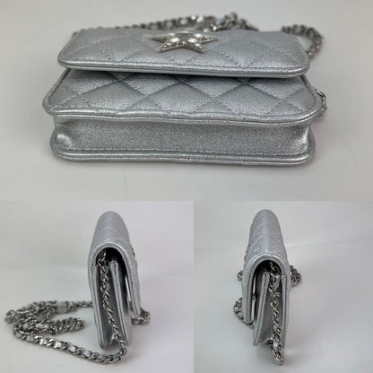 Chanel Metallic Goatskin Quilted Star Flap Waist Belt Shoulder Bag